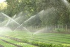Consuelolandscaping-water-management-and-drainage-17.jpg; ?>